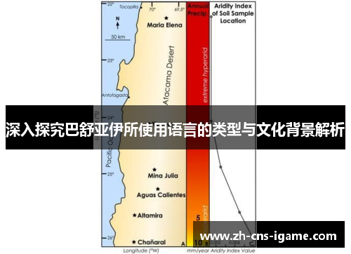 深入探究巴舒亚伊所使用语言的类型与文化背景解析 深入探究巴舒亚伊所使用语言的类型与文化背景解析