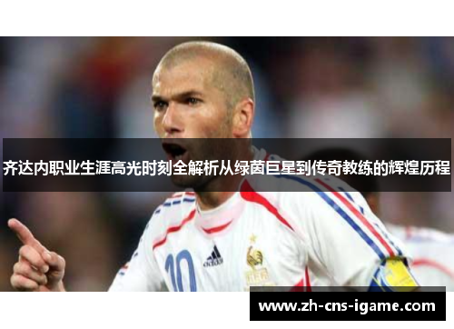 齐达内职业生涯高光时刻全解析从绿茵巨星到传奇教练的辉煌历程