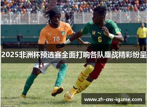 2025非洲杯预选赛全面打响各队鏖战精彩纷呈